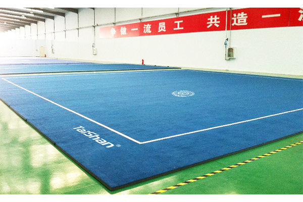 青少年武术场地