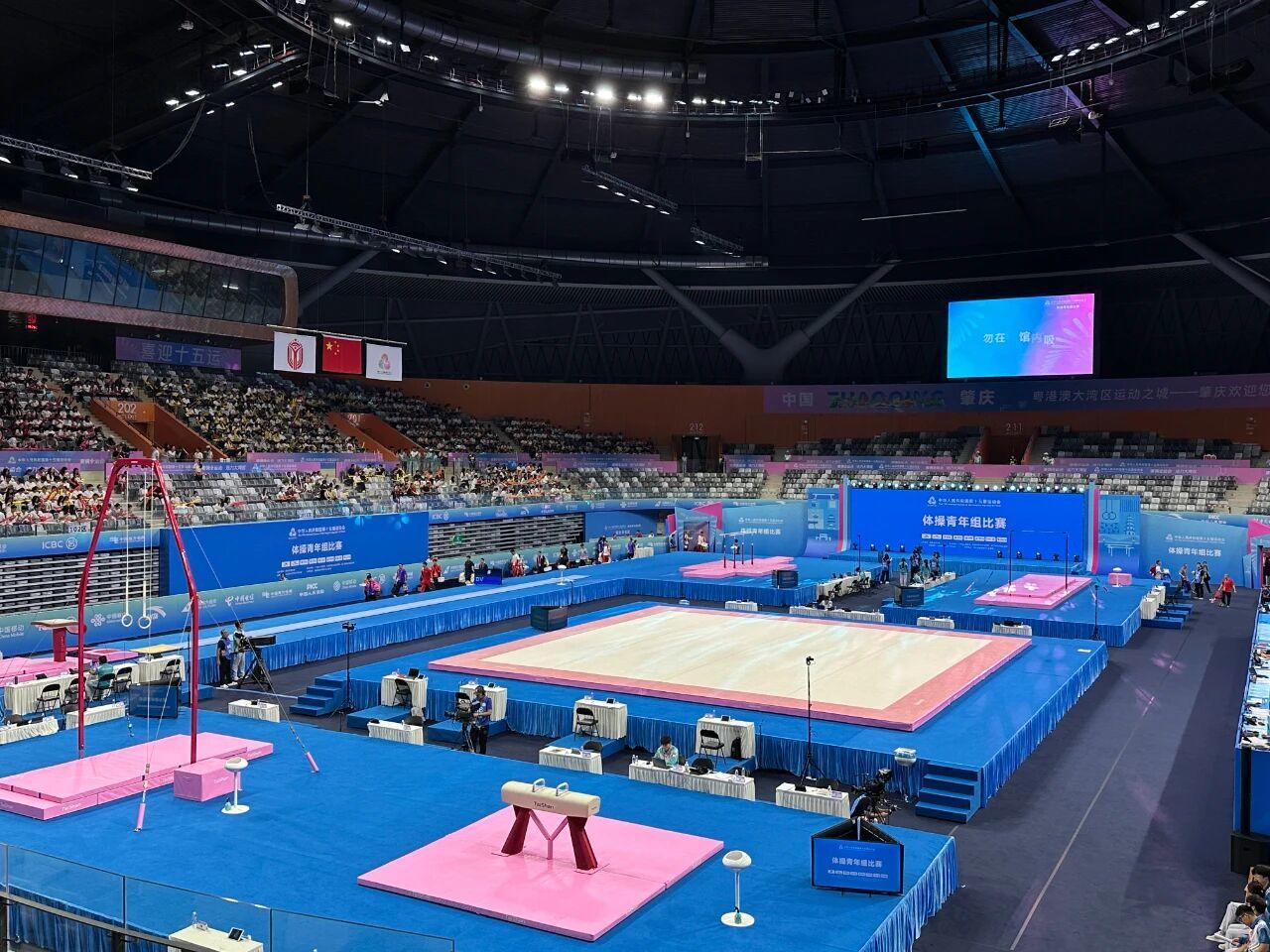全运时刻 | 泰山体育助力十五运会体操青年组燃情开赛